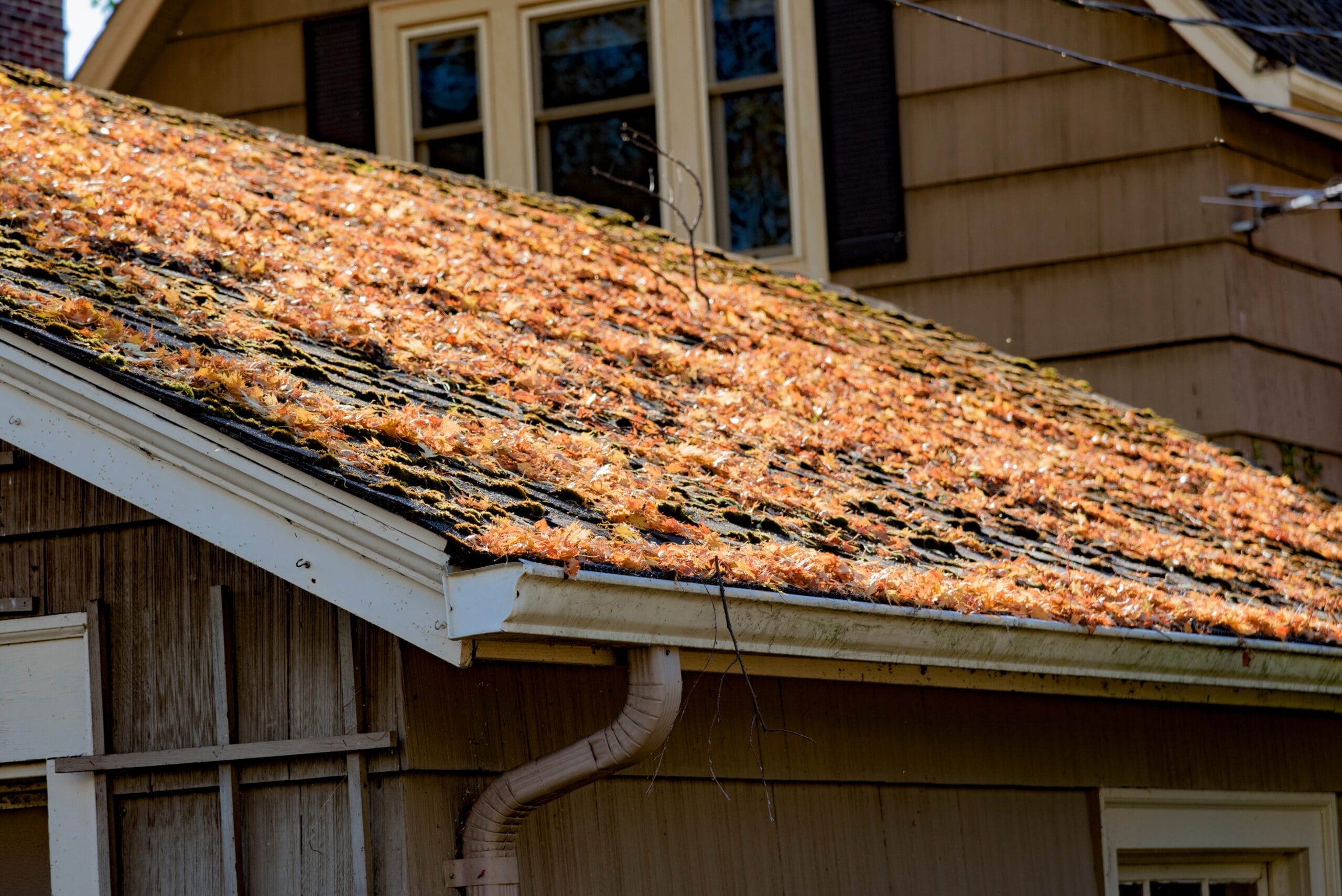 spring roof problems, spring weather roof damage, Uniontown