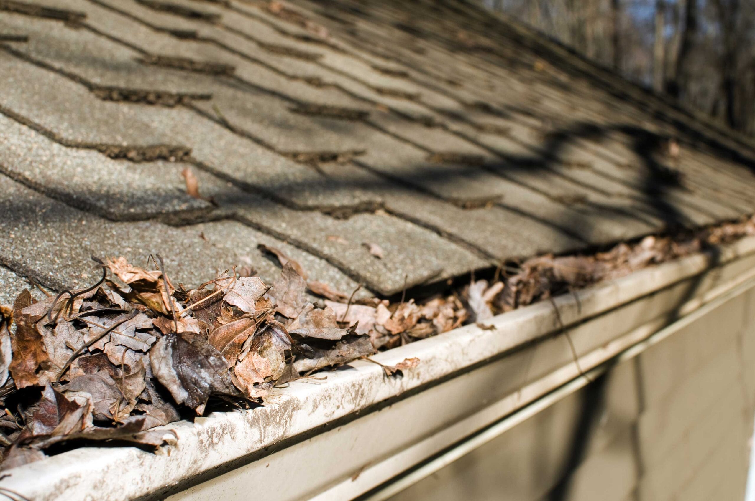 spring roof problems, spring weather roof damage